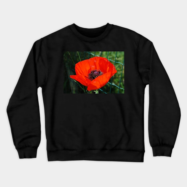 Giant Red Poppy Crewneck Sweatshirt by jojobob